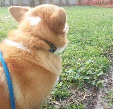 AHVAweo2bm55C6DEiNWB3V_Uz5Qxkm06WzMNecS4jIFCjkNujYCo_Aq0kN_ZQK6OnxHHR4JraC2D1Z7vn1xBLDgNsDhokMxYoCG4BQd_FU0qHC2b7v7ku1FnNJNdNDpHVBJQpqIB1SVwpgw800-h500-k-no.jpg